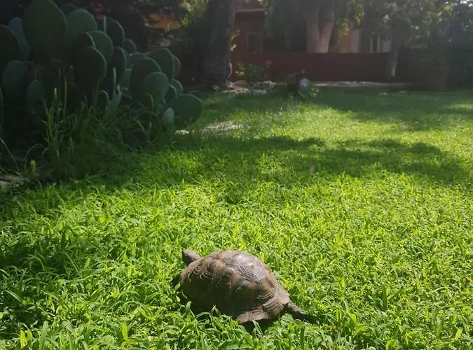 Hébergement de vacances Portoagali