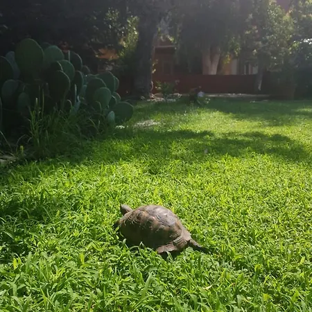 Prázdninový dům Portoagali