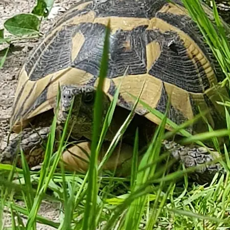 Prázdninový dům Portoagali *