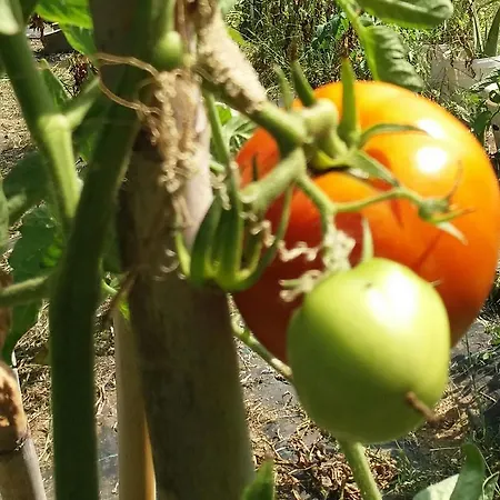 Portoagali Semesterbostad