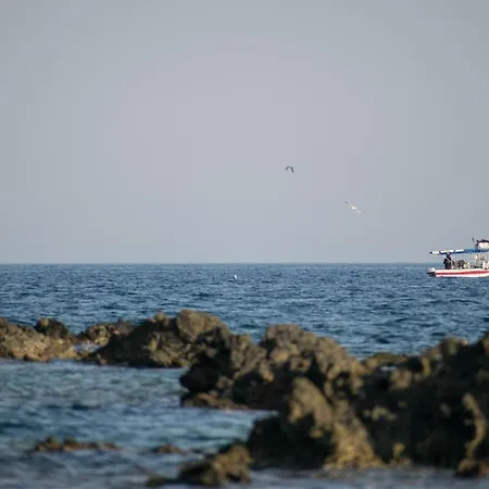 Portoagali *