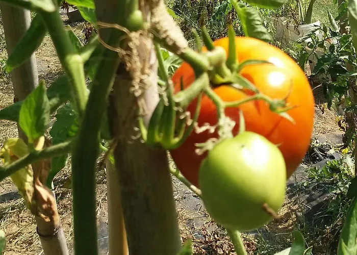 Portoagali בית נופש