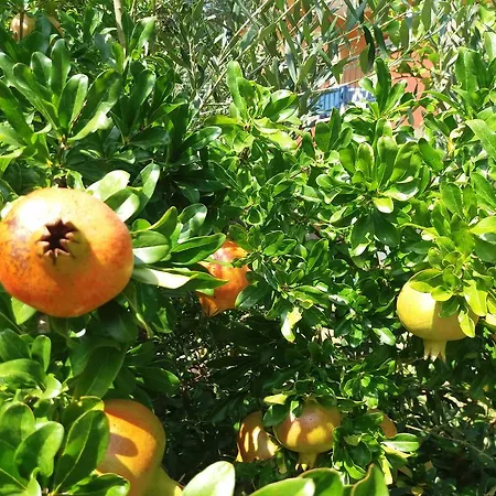 Portoagali Porto Koufo