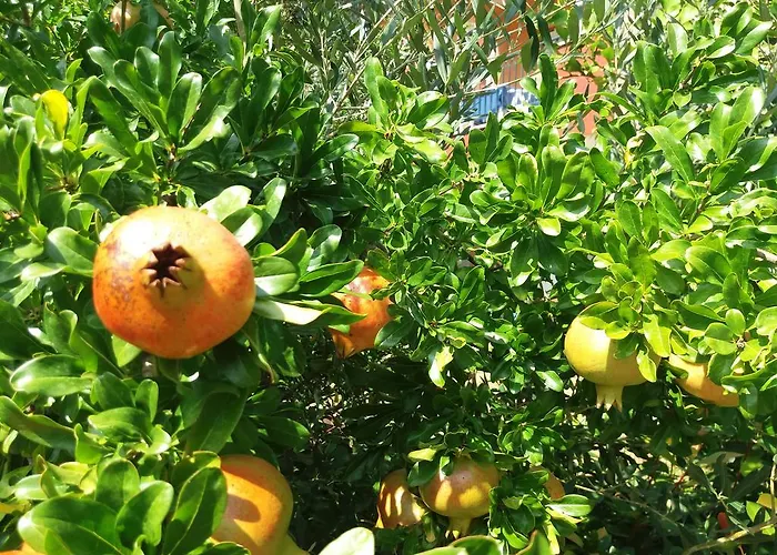 Portoagali Porto Koufo