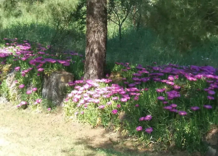 Portoagali Casa vacanze Porto Koufo