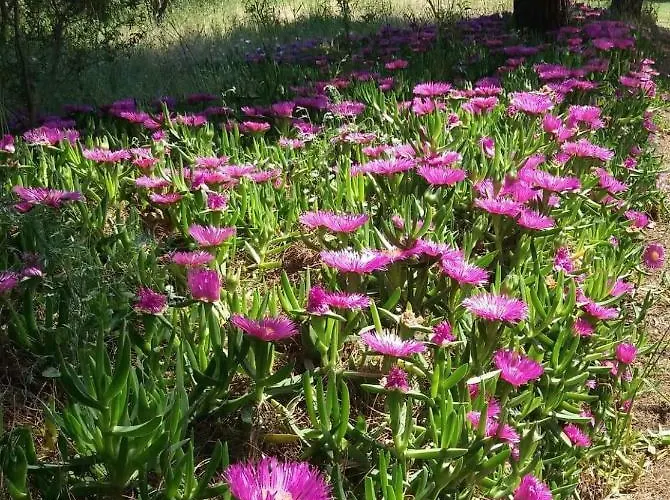 Portoagali Casa vacanze *